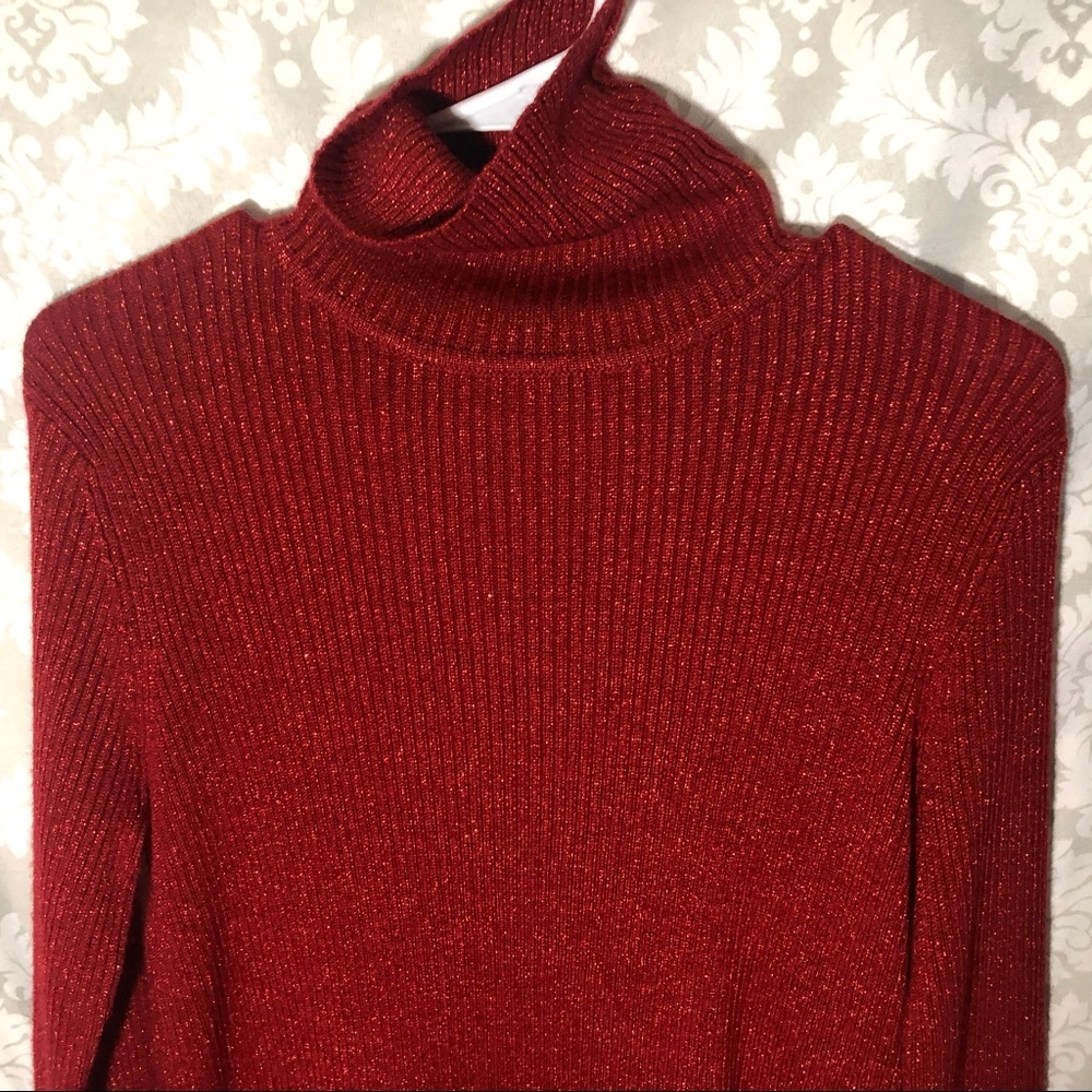 Bice Turtle Neck Sweater - Picture 2 of 8